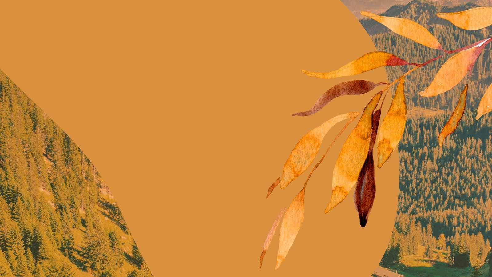 seo e content marketing